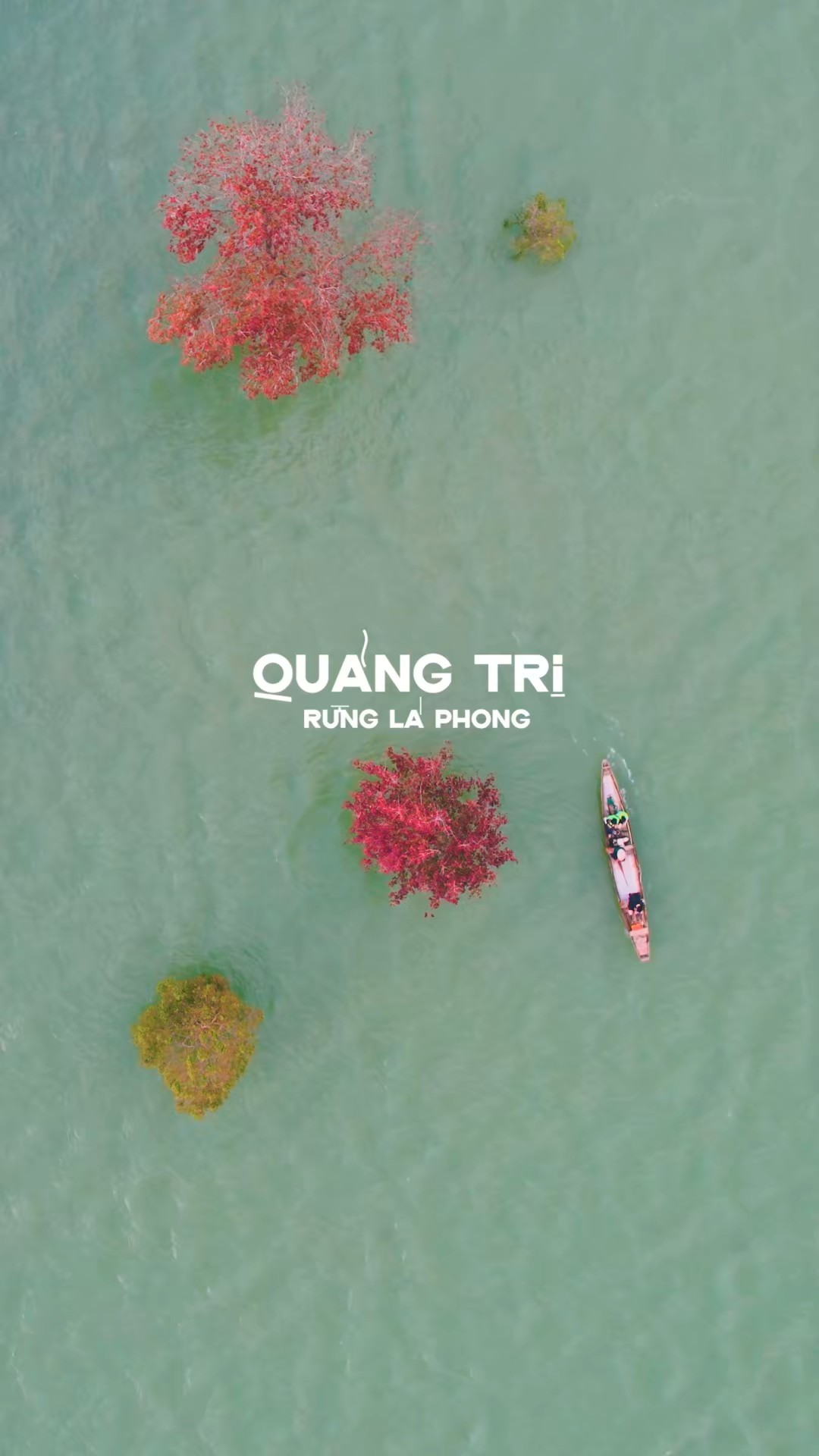 Rừng Phong Hương một chuyến đi Trời Âu ngay tại Quảng Tri