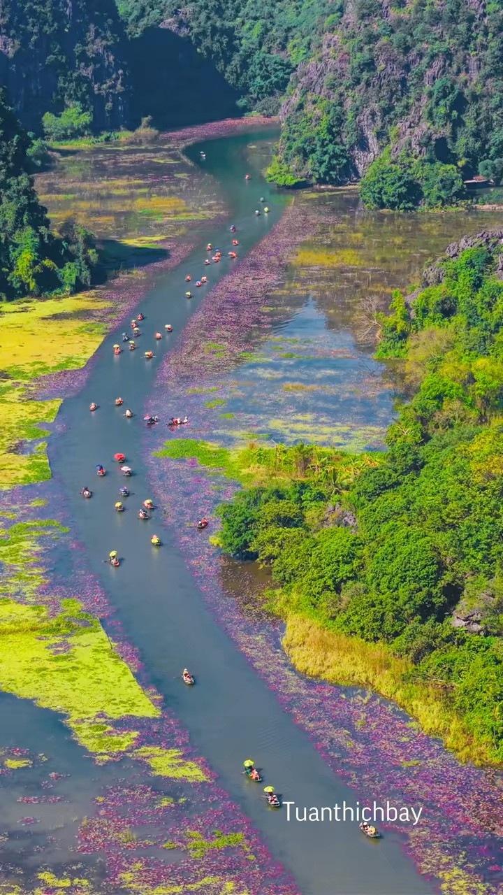 Video của Phan Thuý