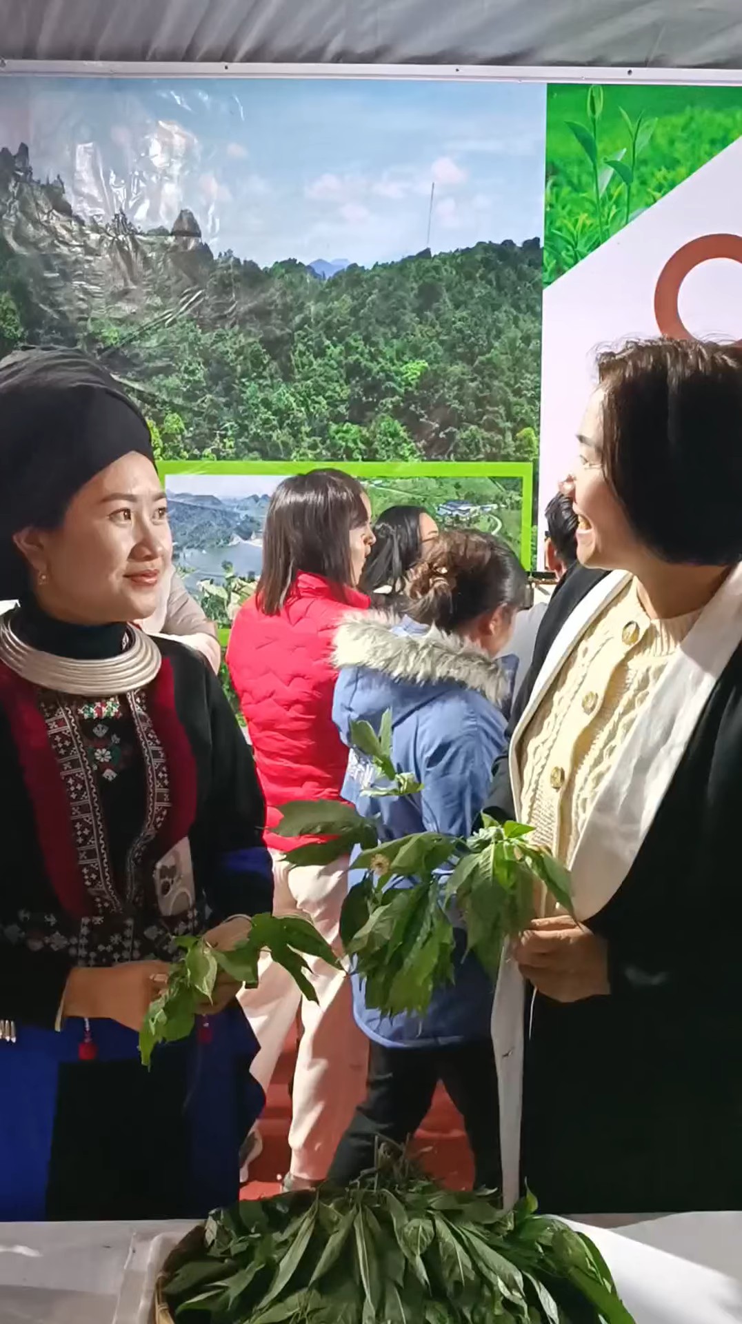 Video của Phan Thuý